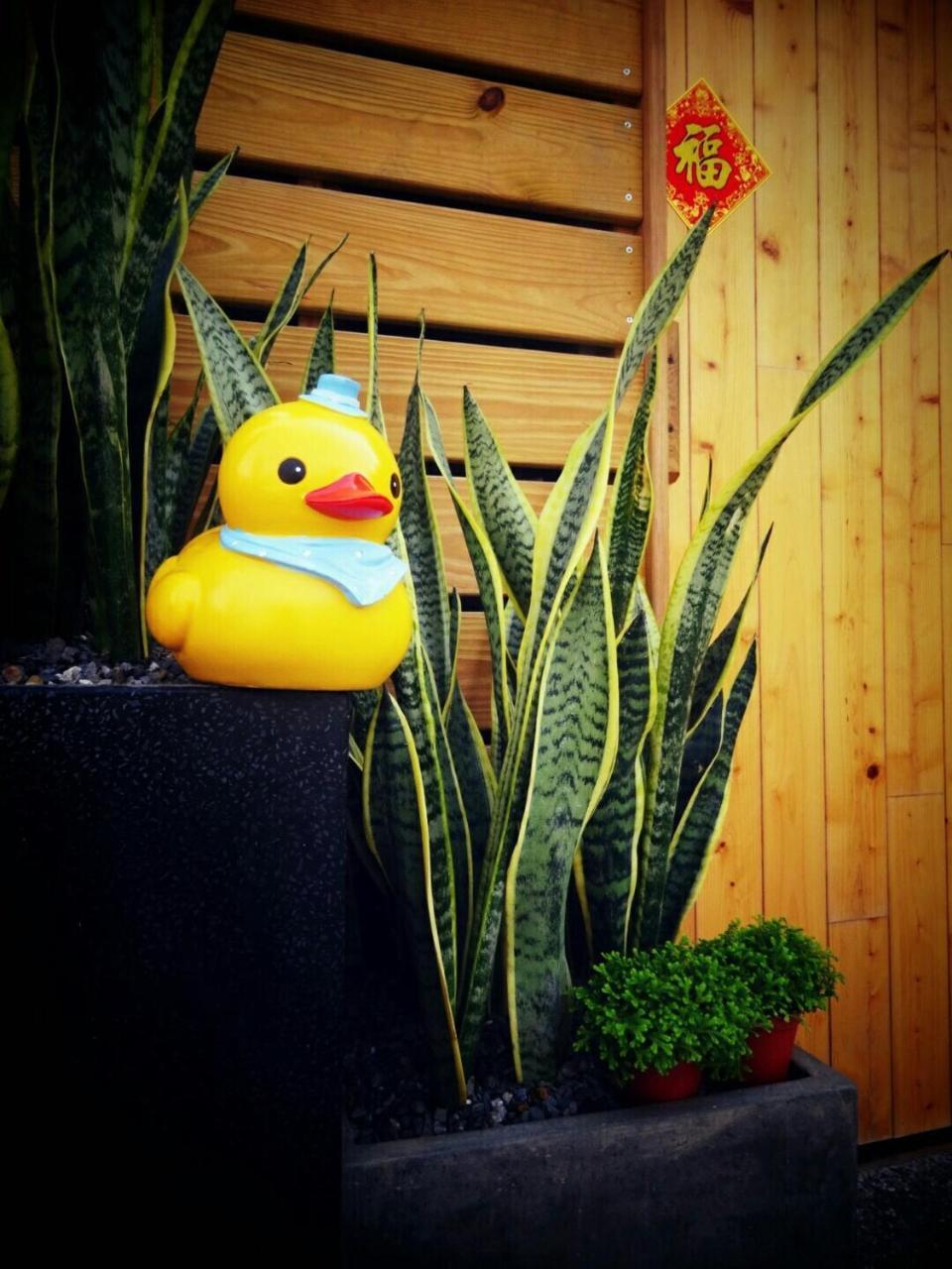 Yy Elleys Home Jiaoxi Exteriör bild