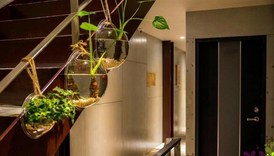 Yy Elleys Home Jiaoxi Exteriör bild